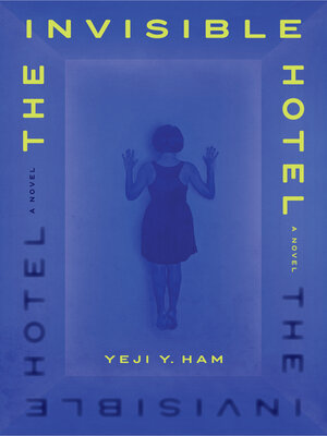 cover image of The Invisible Hotel